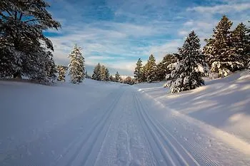 Отель Rondablikk